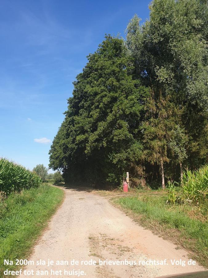 Eden Villa Sint-Pauwels Dış mekan fotoğraf